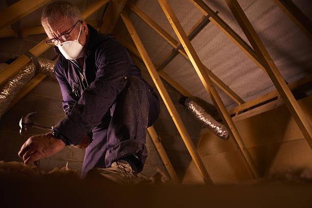 Best Insulation Materials and Products in Belmont Estates, VA