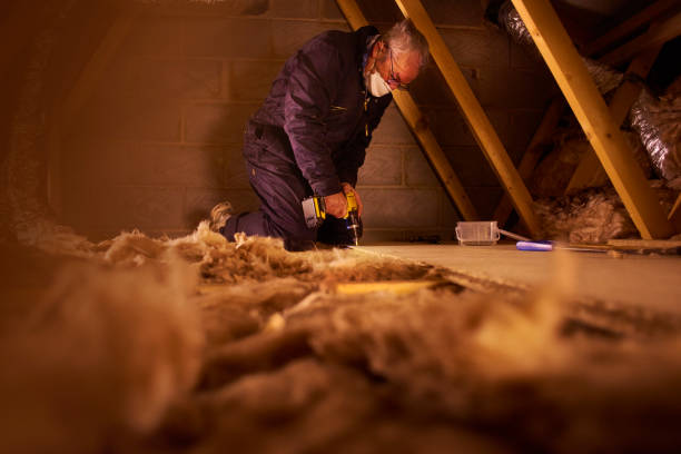 Best Commercial Insulation in Belmont Estates, VA